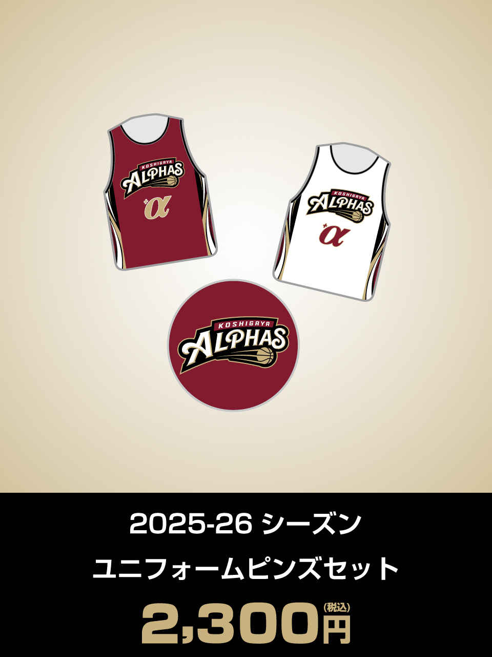 2025-26シーズン ユニフォームピンズセット