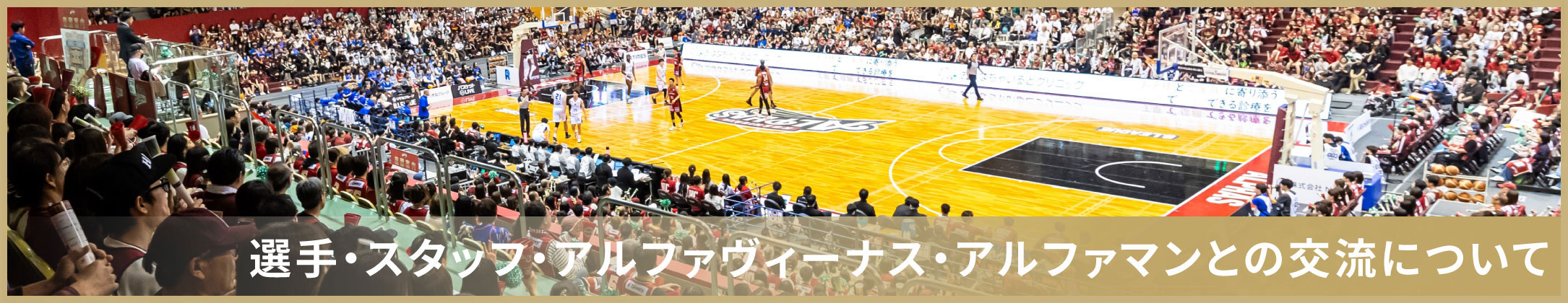 選手・スタッフ・アルファヴィーナス・アルファマンとの交流について