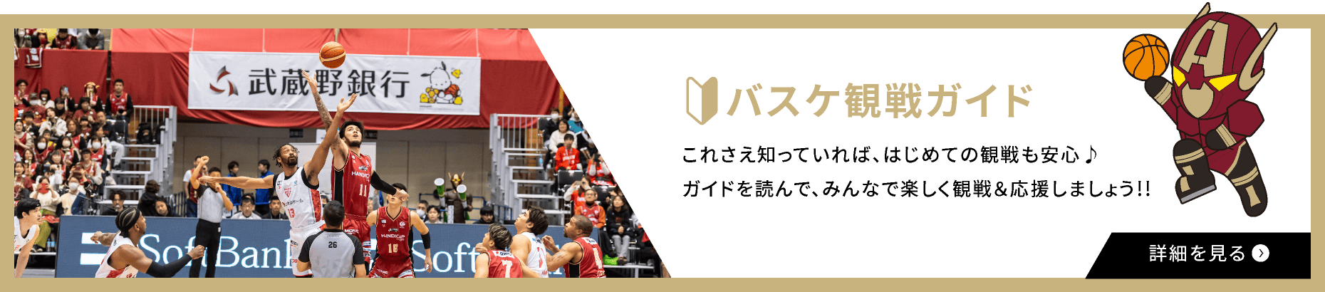 バスケ観戦ガイド